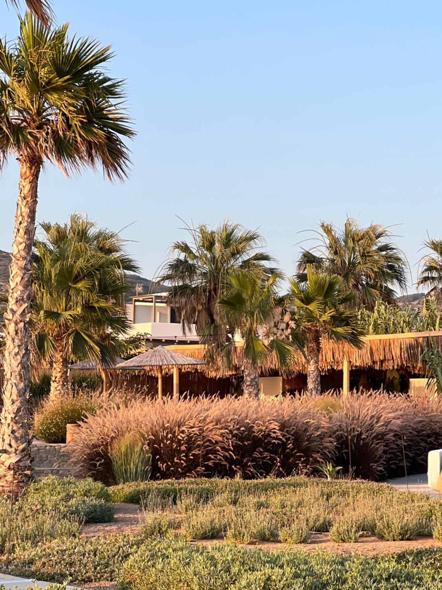Seesoo Paros Beachfront Resort (Adults Only) Pounda エクステリア 写真