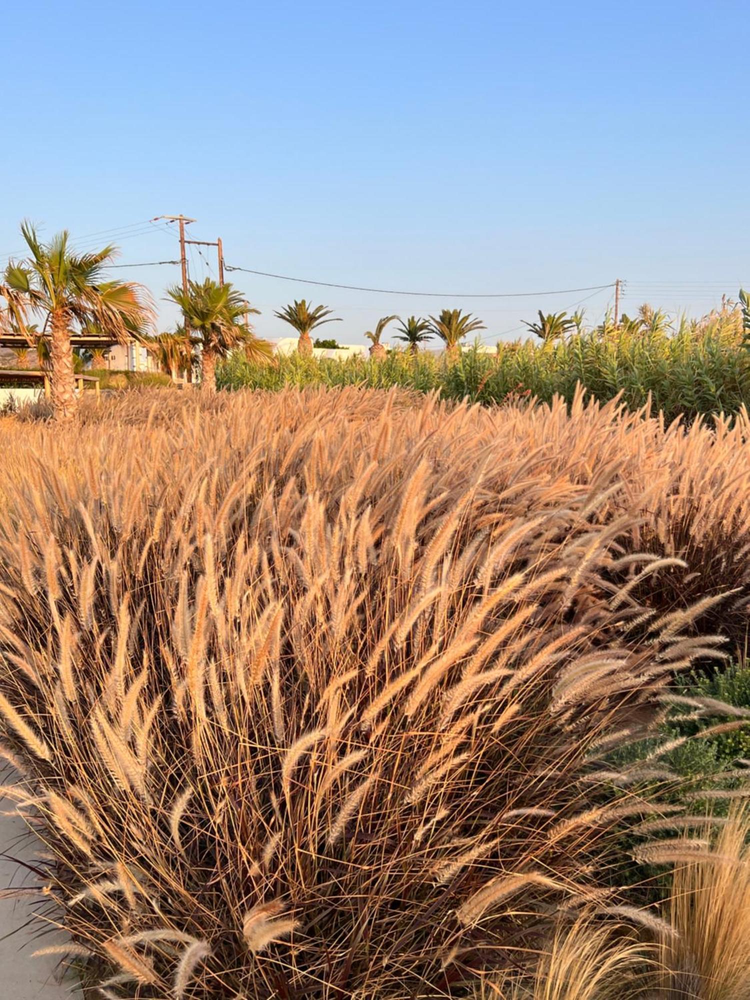 Seesoo Paros Beachfront Resort (Adults Only) Pounda エクステリア 写真